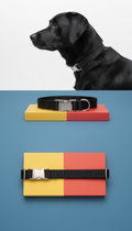 Stainless Steel and Nylon Collar