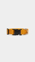 Mango Orange Signature Collar